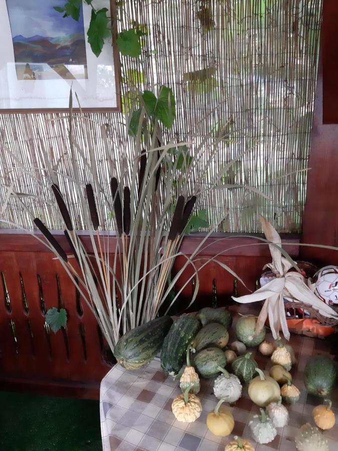 Becze Vanda Kulcsoshaz Lazarea ภายนอก รูปภาพ