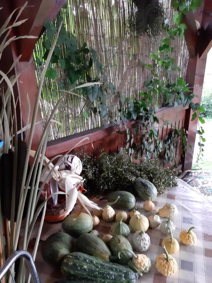 Becze Vanda Kulcsoshaz Lazarea ภายนอก รูปภาพ